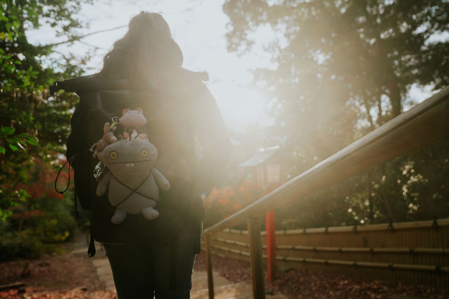 A silhouetted figure walks down misty stairs surrounded by trees in dreamy golden sunlight.