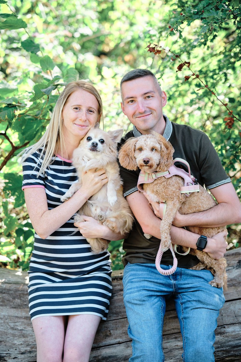 A couple sits on a wooden log with their two small dogs, all surrounded by lush green foliage in a sunny outdoor setting.