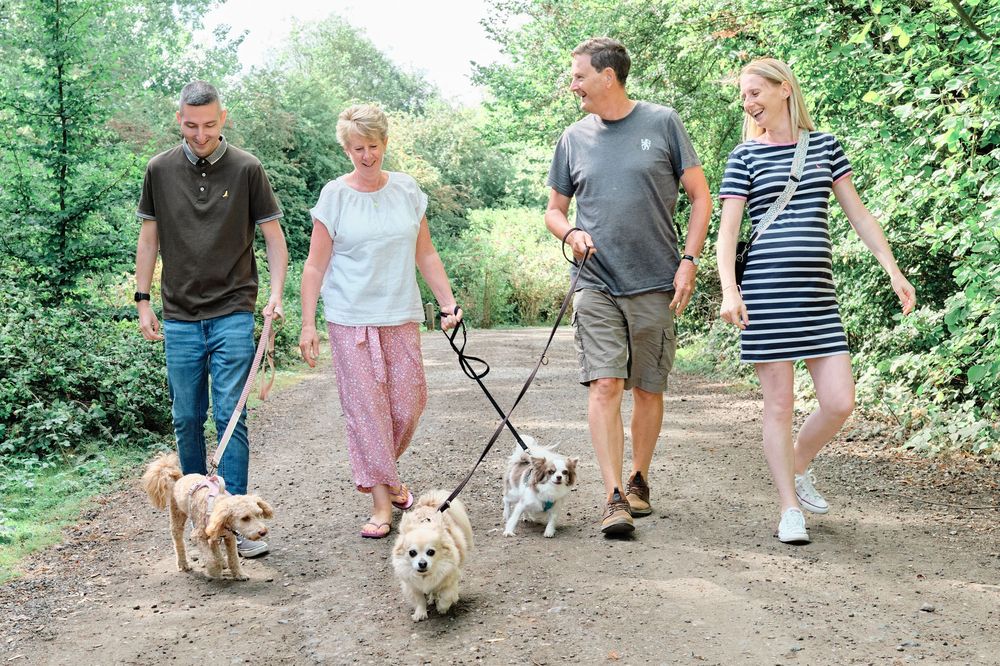 A group walks golden retrievers along a scenic wooded trail on a sunny summer day.