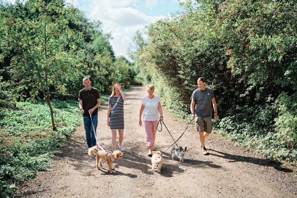 A group of people walking their dogs together on a sunny nature trail surrounded by lush green vegetation.