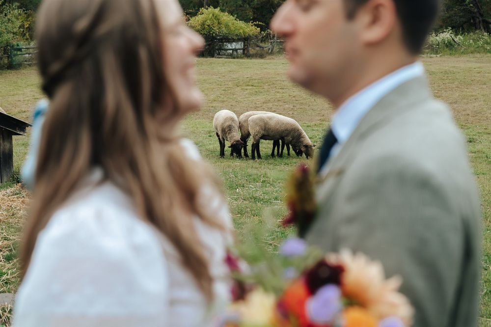 An outdoor wedding ceremony scene with guests gathered on a grassy field under natural lighting.