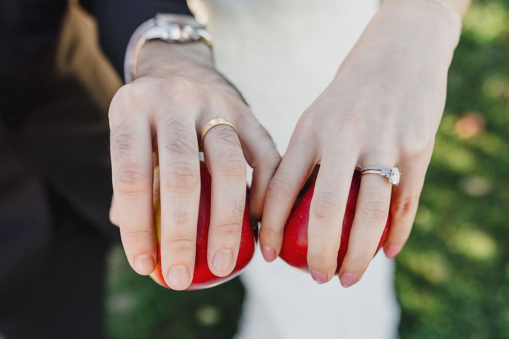 Apple oachard Rhode Island Wedding photography