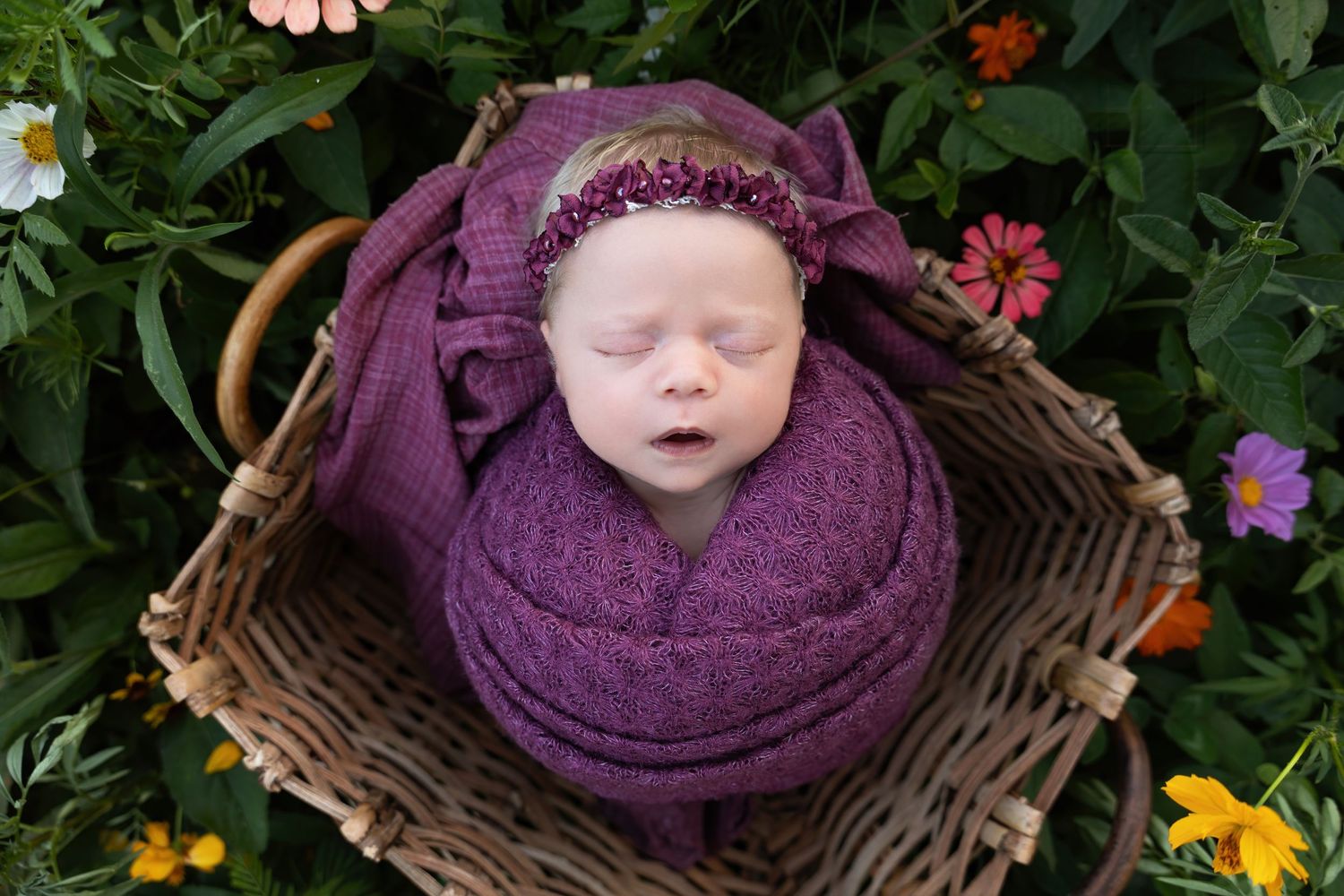 Newborn Photographer
Cake Smash Photographer
Maternity Photographer
Kentucky Photographer
Richmond Kentucky 
Berea kentucky
Lexington KY
