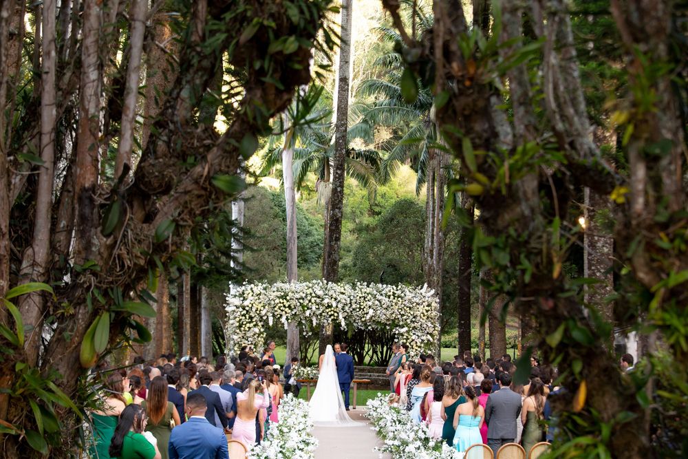 A lush garden walkway lined with tall palm trees and flowering plants creates a peaceful tropical pathway.