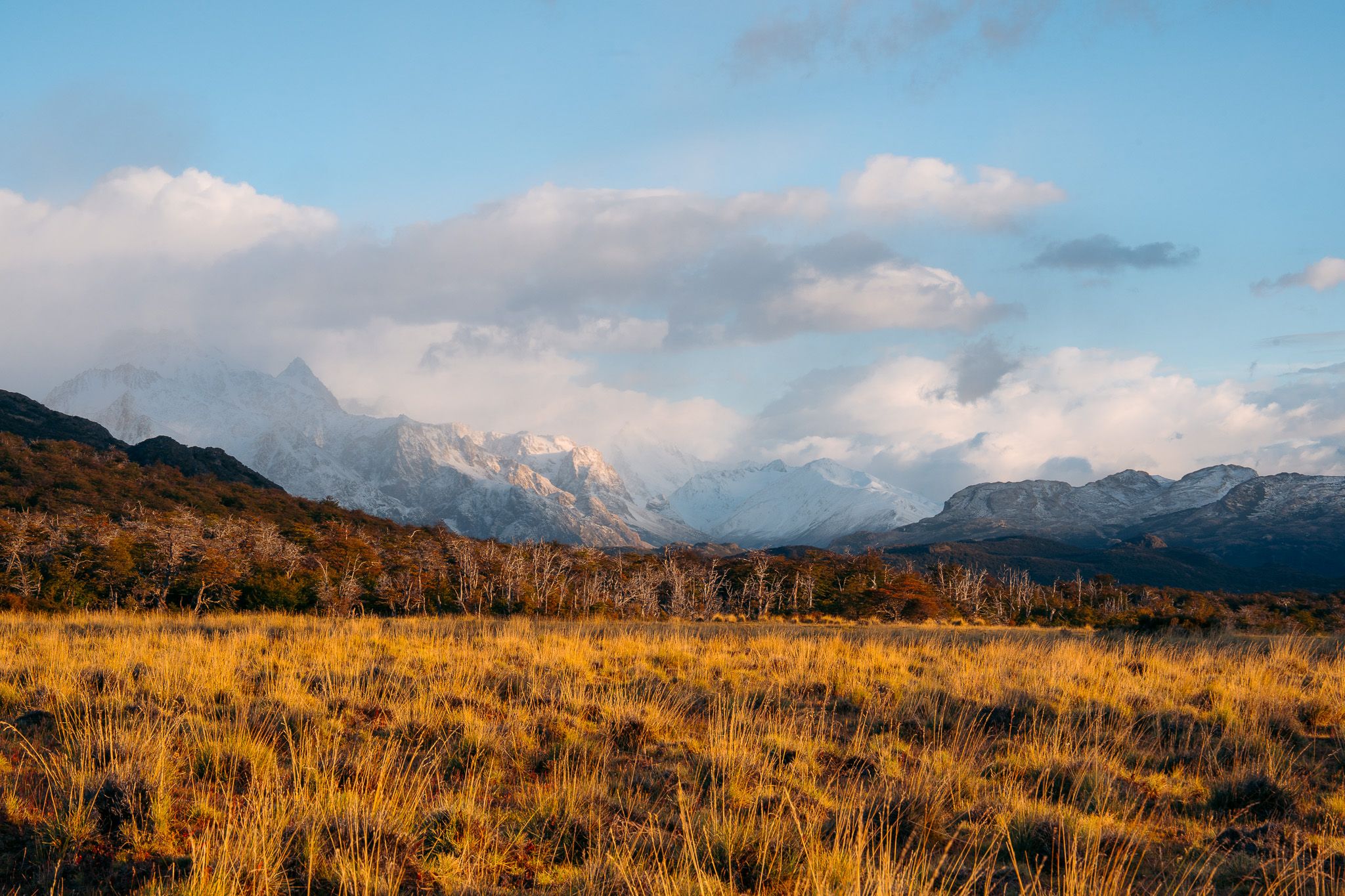 Panoramic view of snow-capped mountains and golden grasslands under cloudy skies during sunset.