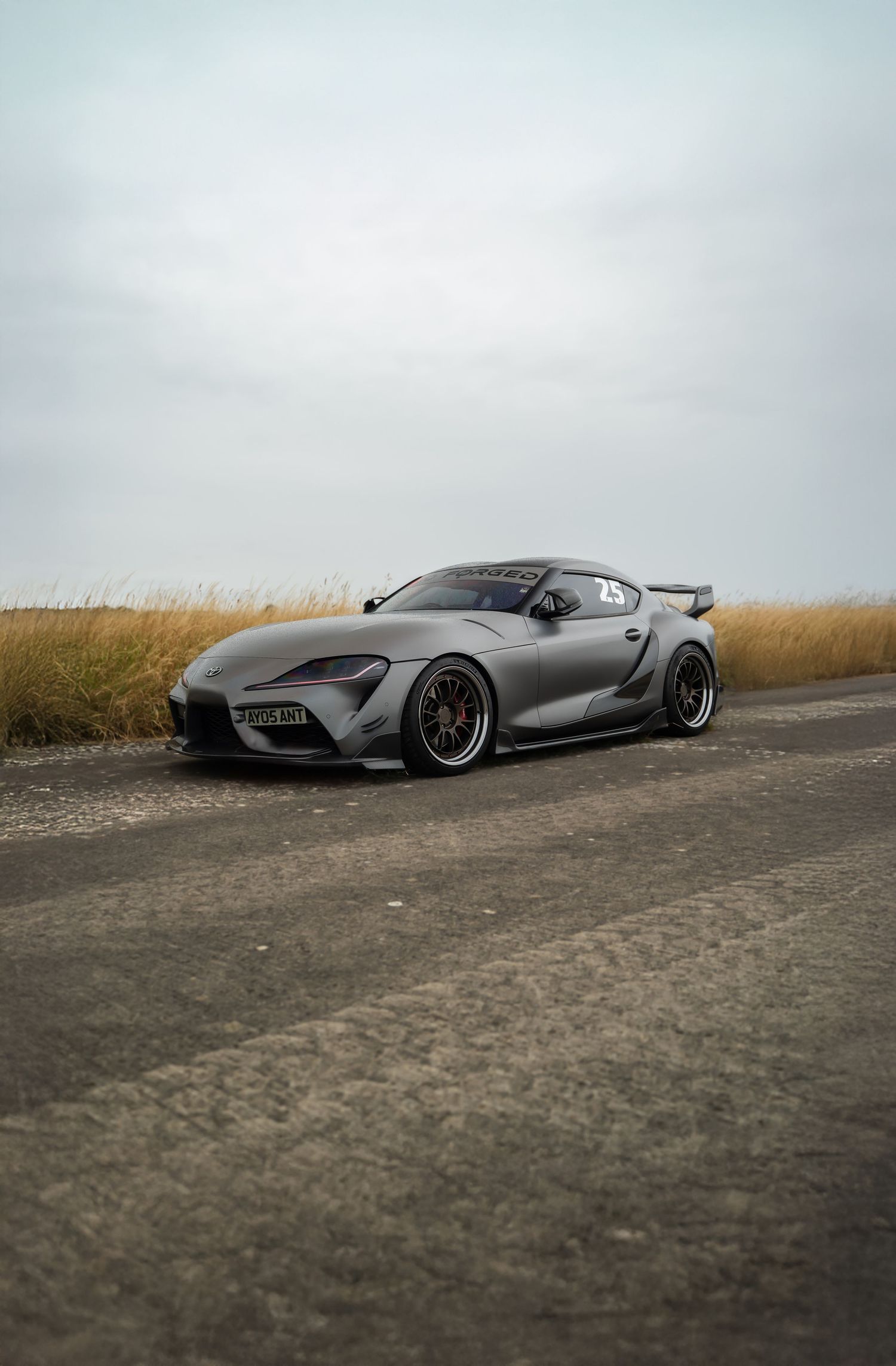 Sleek gray sports car photographed in dramatic low angle against cloudy sky.