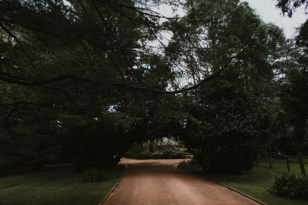 Winding dirt path through a wooded area under overcast skies.
