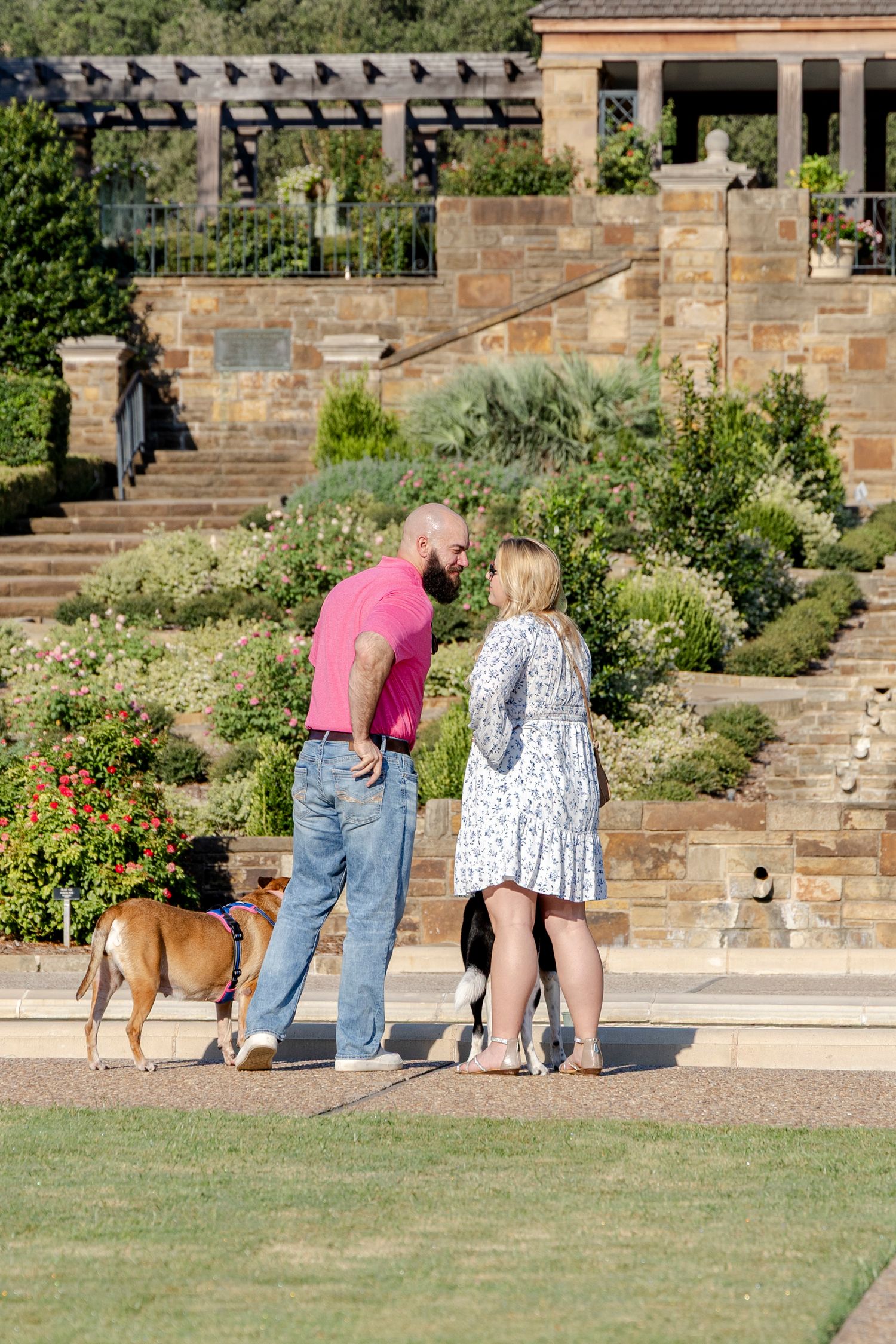 Romantic rose garden surprise proposal at Fort Worth Botanical Gardens