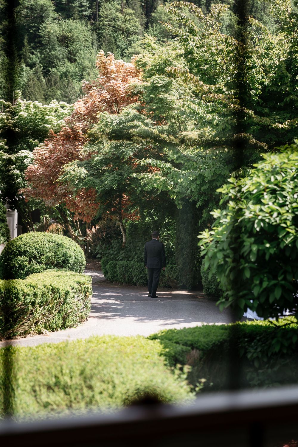 A peaceful garden pathway winding through lush greenery and Japanese maple trees in a tranquil setting.