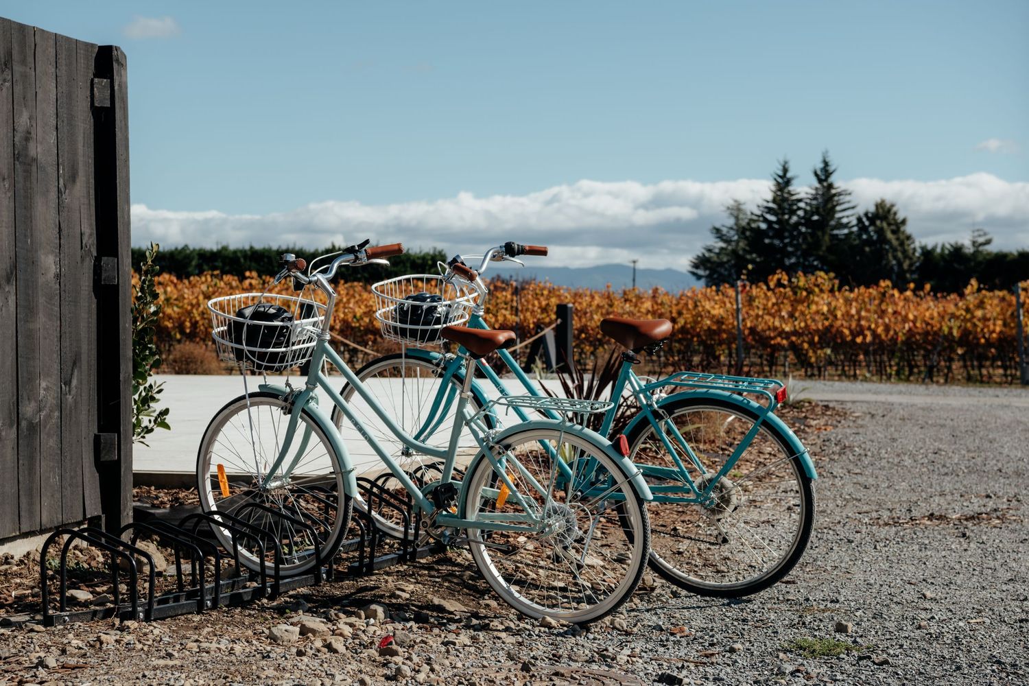 Two vintage blue bicycles sit in a bike stand at a vineyard with golden Autumn vines in the background on a sunny day by August & Vine.