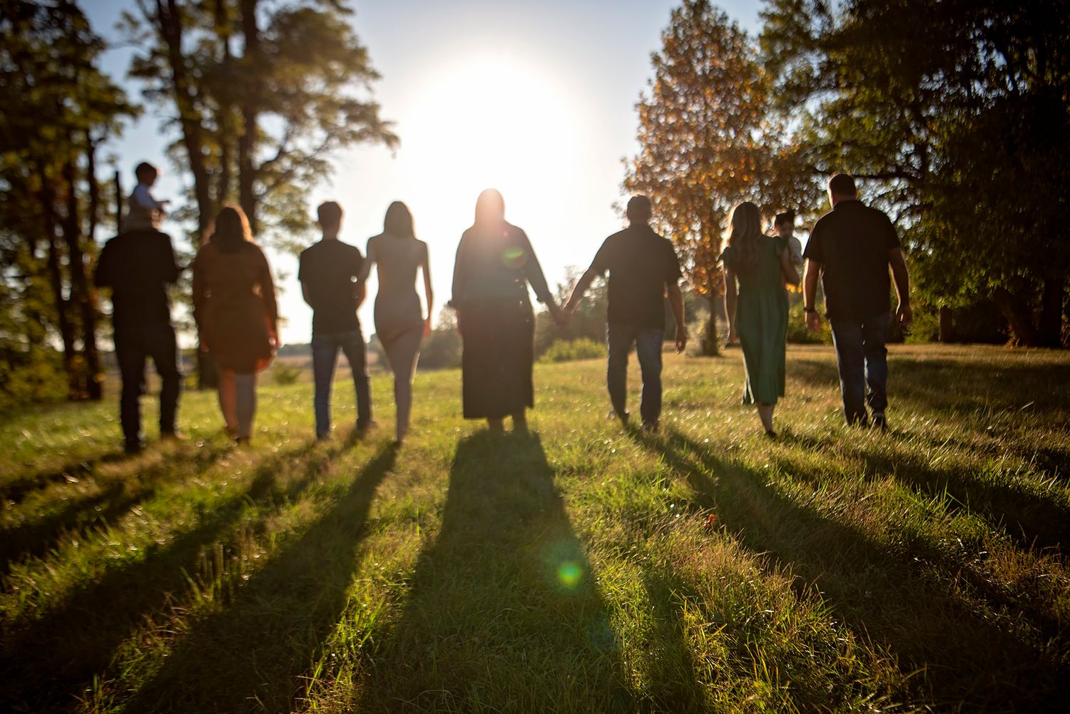 Sun filters through trees casting long shadows on figures silhouetted in golden light on a grassy hill during sunset.