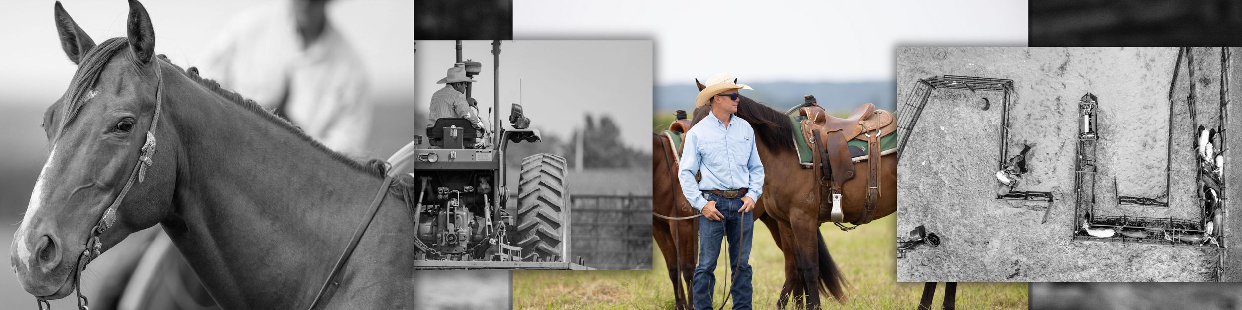 A collage of equestrian photos showing riders and horses in various settings and activities.