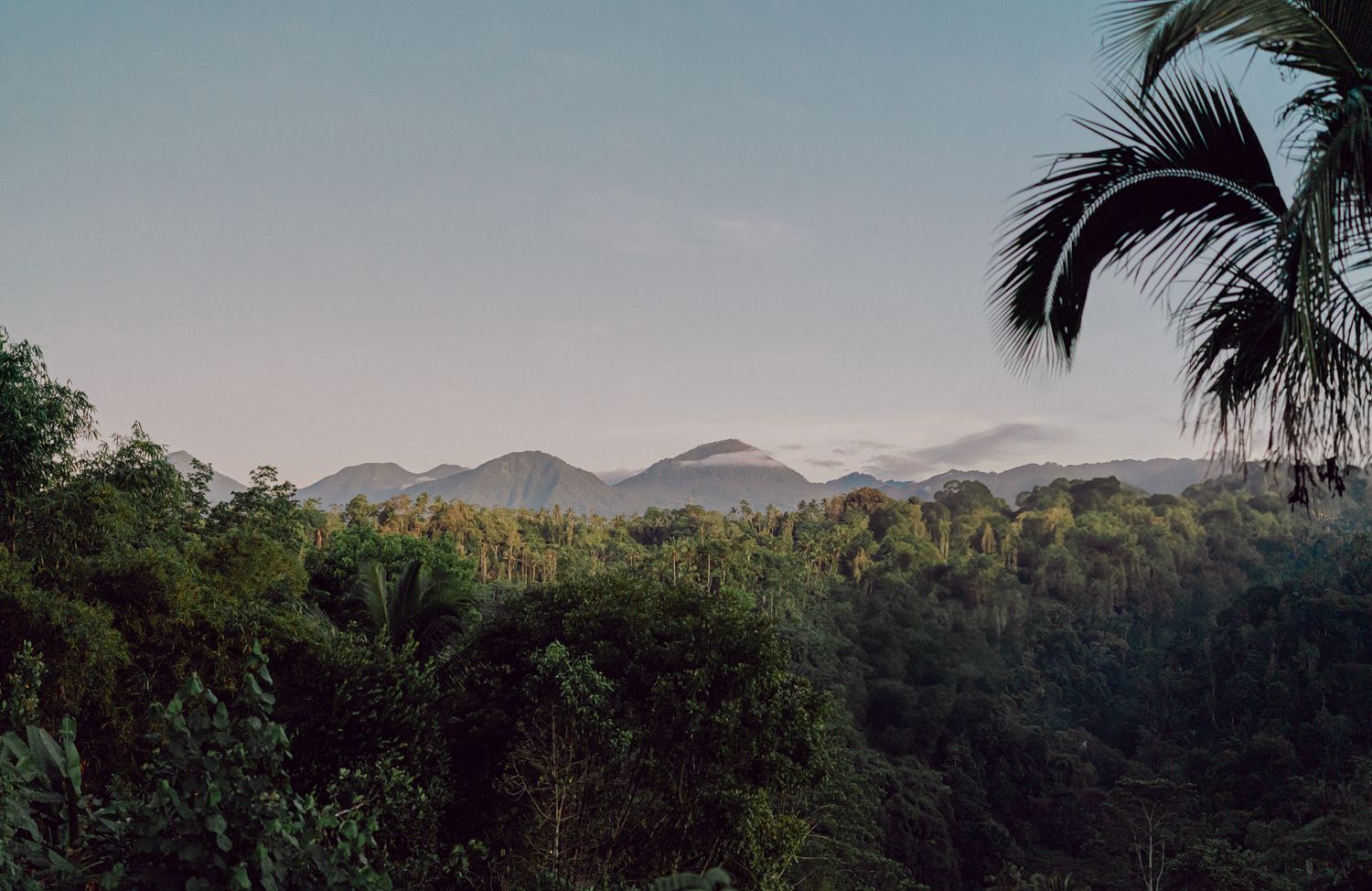 Bali Elopement in a jungle retreat, Banyan Tree Escape
