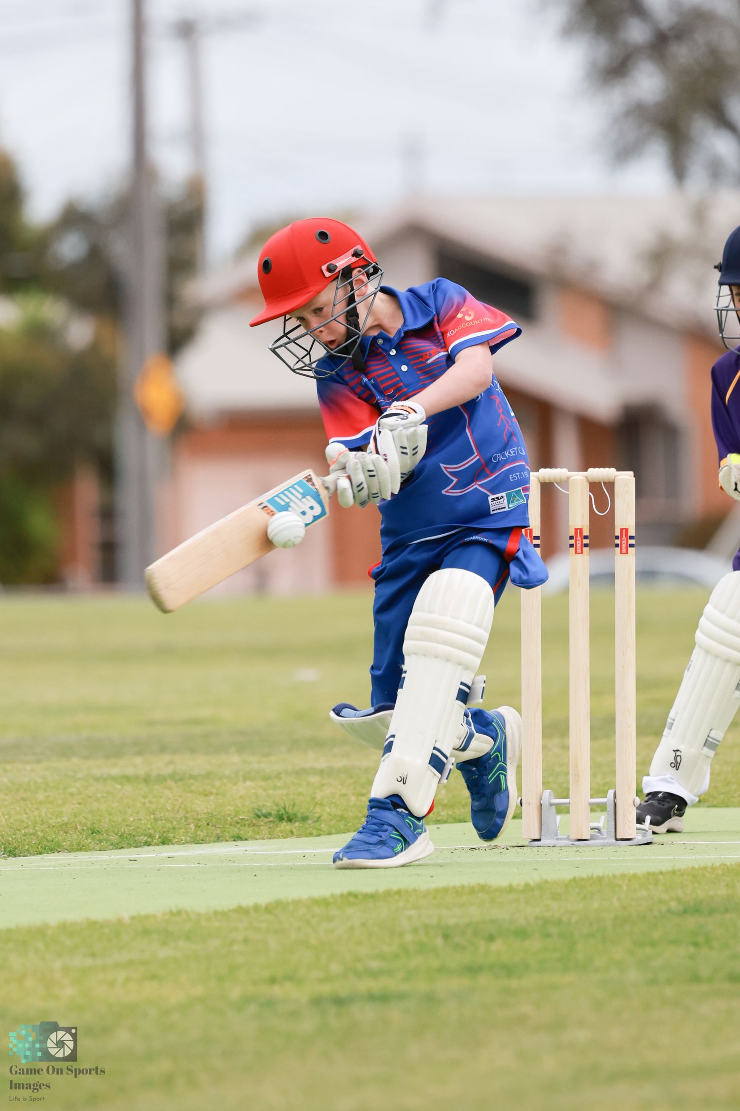 Melbourne sports photographer cricket