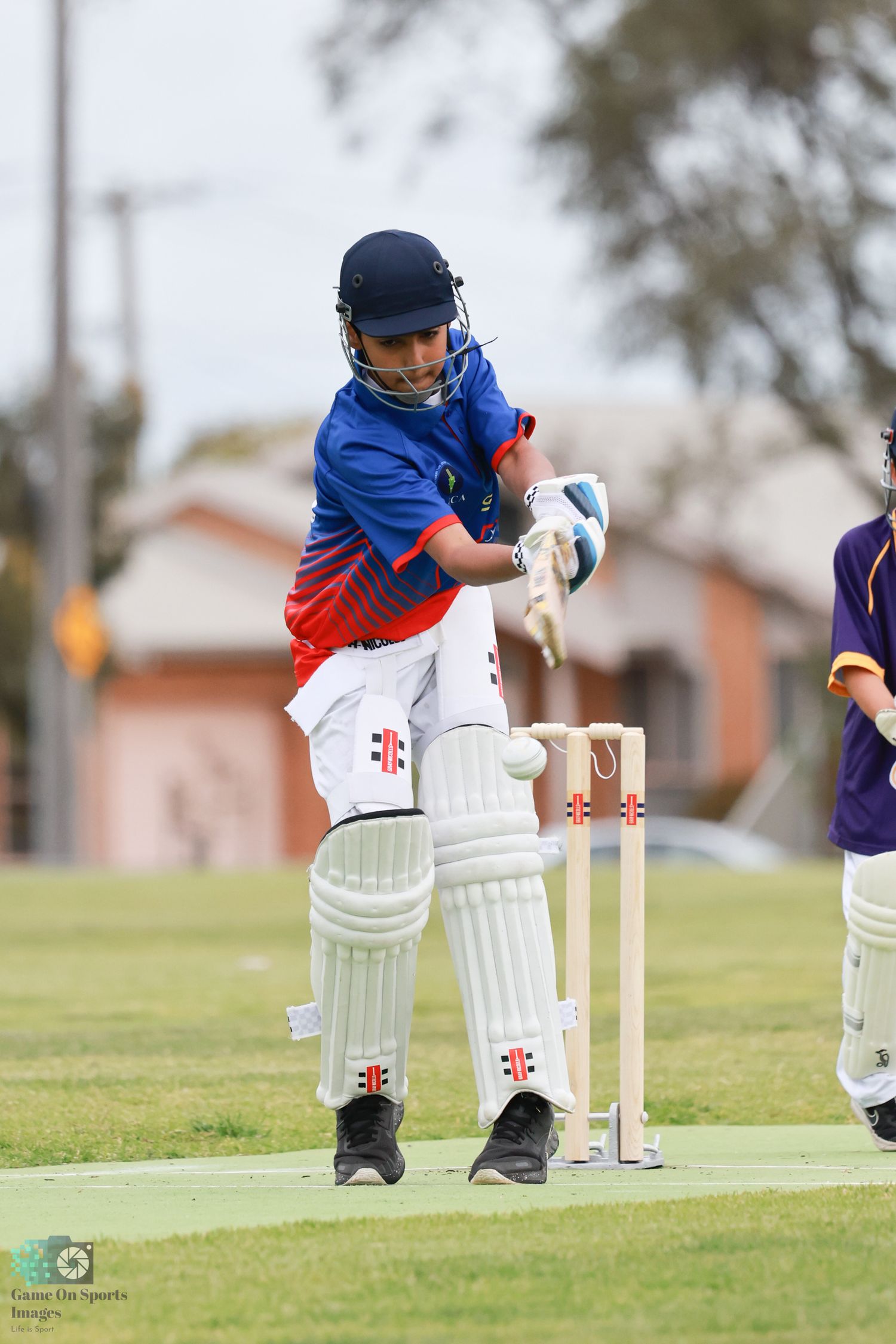Melbourne sports photographer cricket