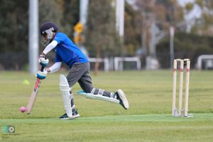 Melbourne sports photographer cricket