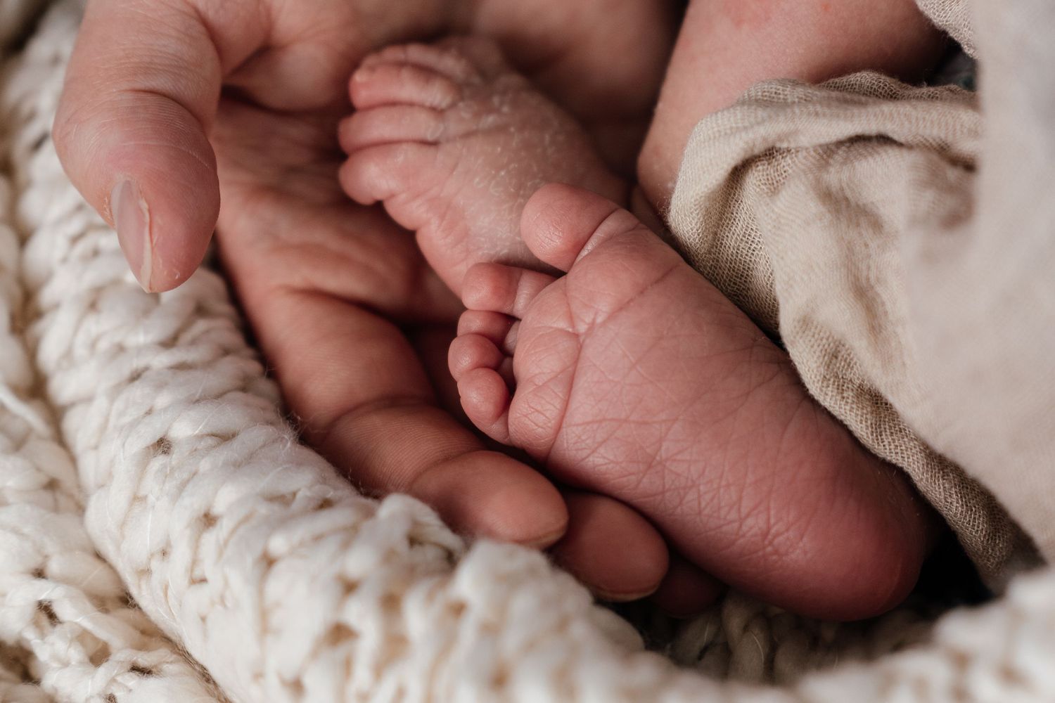 Newborn Photography in Helena, MT
