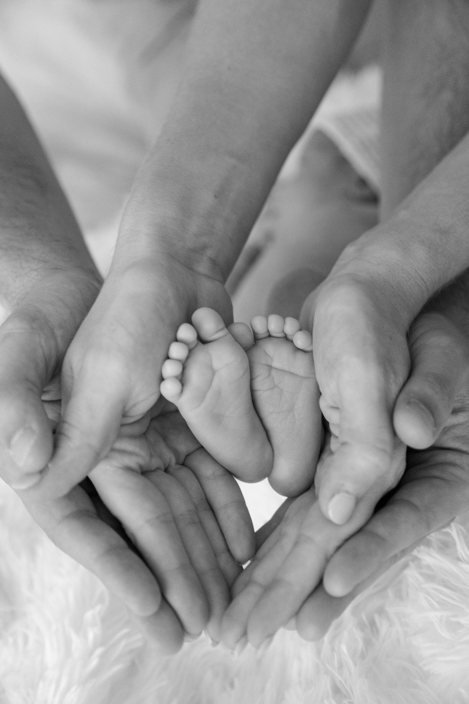 Adult hands cradling tiny newborn baby feet in a tender black and white family portrait.