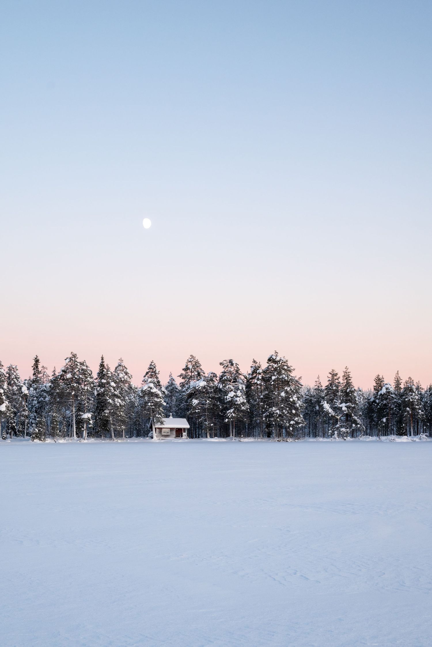A magical winter landscape in Lapland, Finland, featuring snow-covered trees and the Northern Lights dancing in the sky. Discover how to vis
