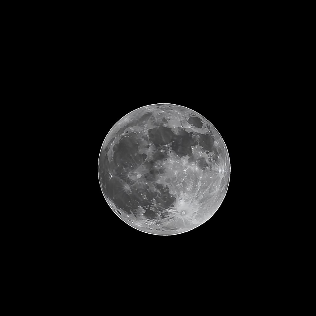 Full moon photographed in sharp detail against a black night sky.