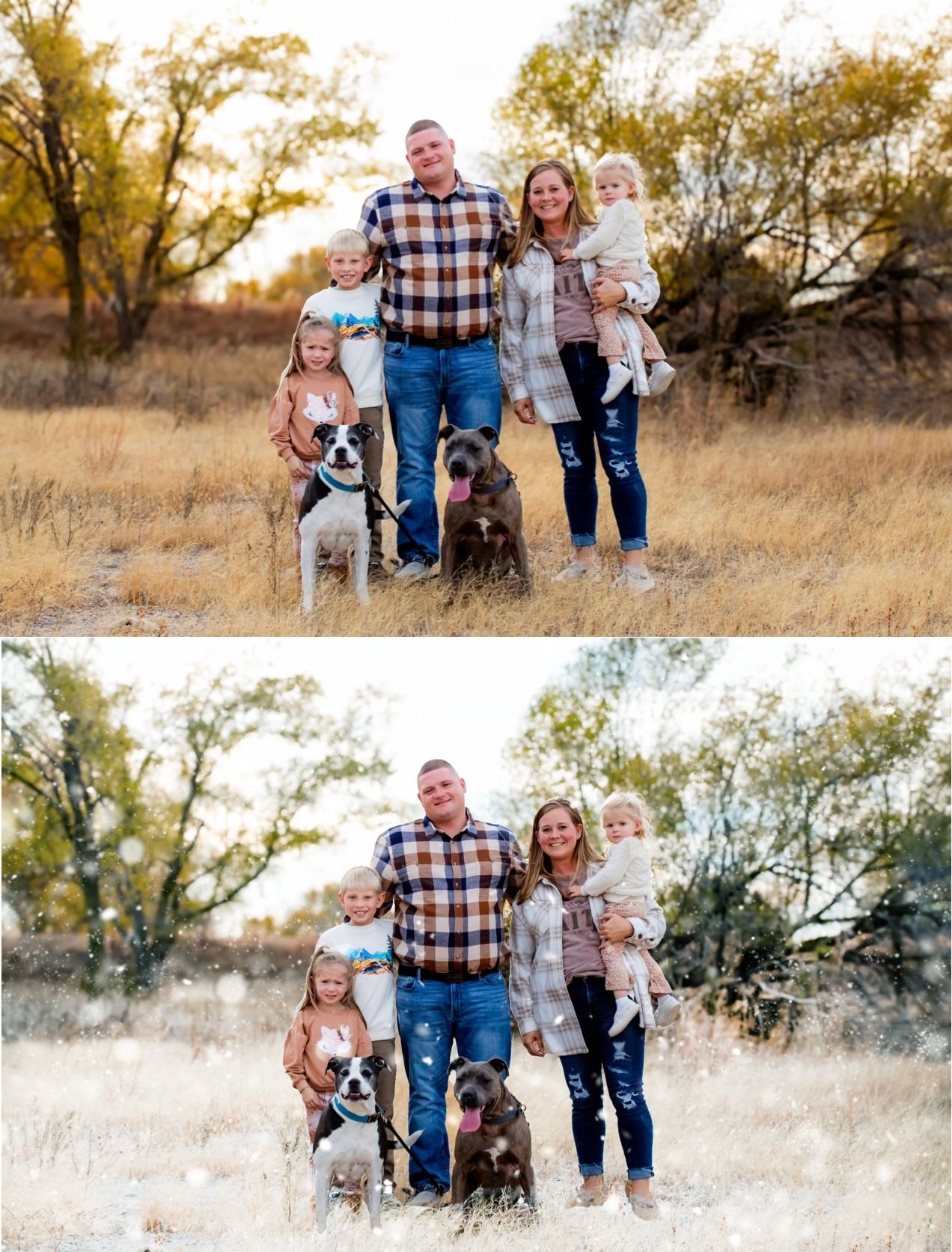 Two identical photos of a family with their dogs but a Kearney Nebraska photographer added snow to one photo.