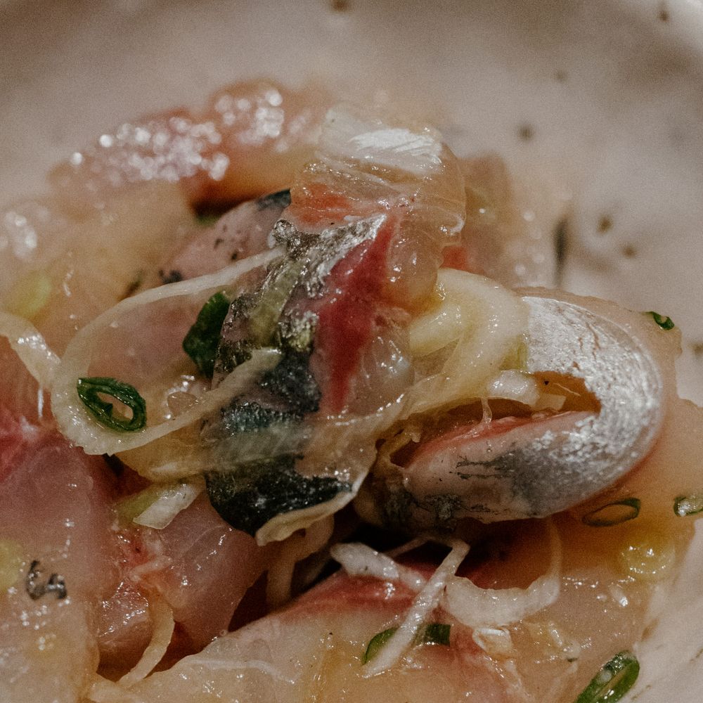 Close-up of fresh sashimi with onions and herbs in a light broth.
