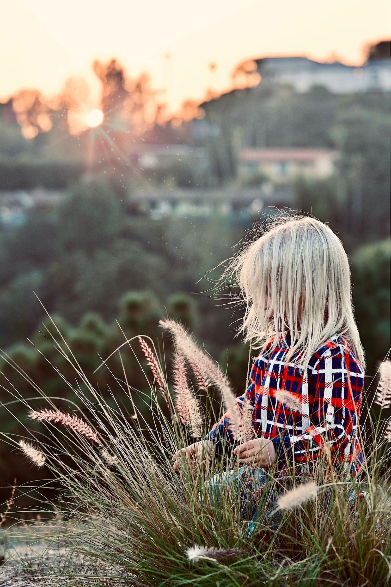 Child in plaid shirt sits among tall grasses at sunset with golden bokeh lighting.