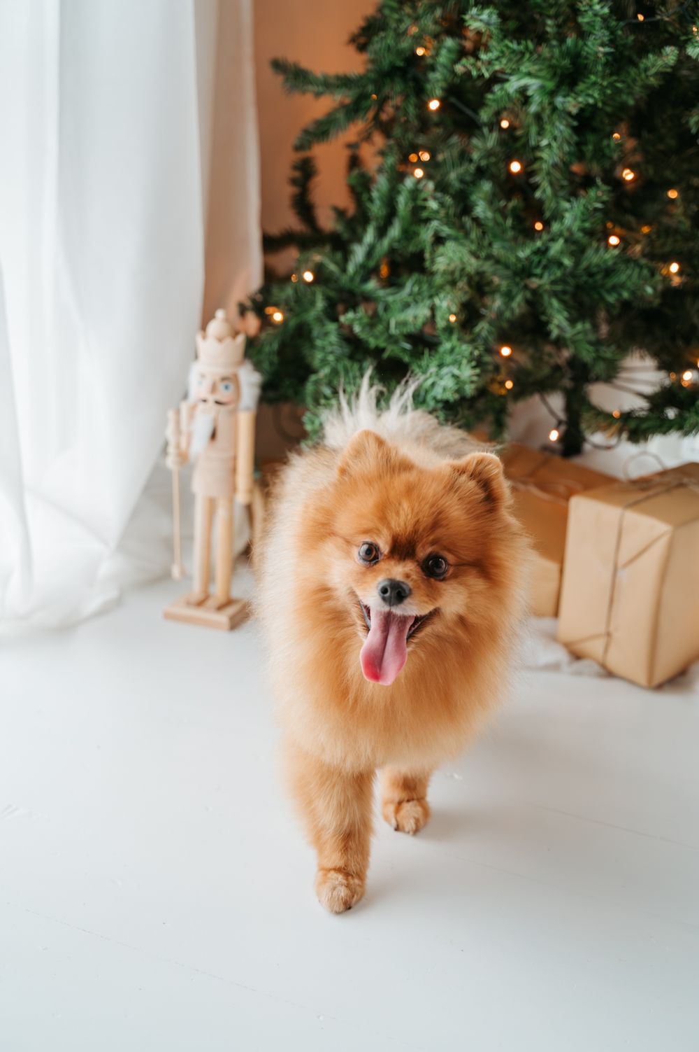 Fotograaf Moerbeke Waasland  - Cosy Christmas kerstminishoot gezin kinderen zwangerschap