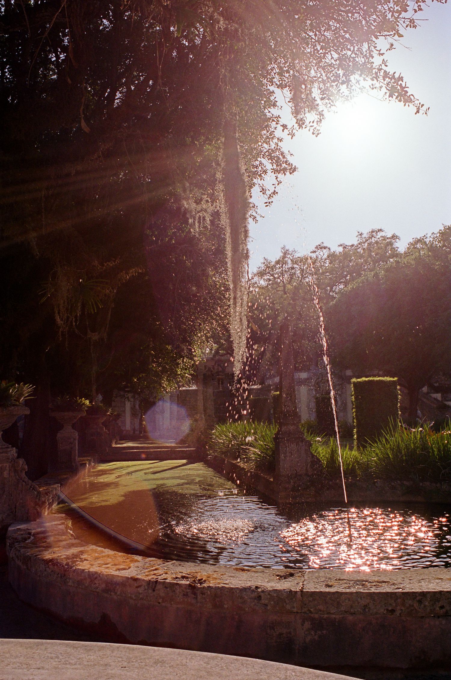 Sunlit garden path with stone walls and water feature creates a tranquil outdoor landscape during golden hour.