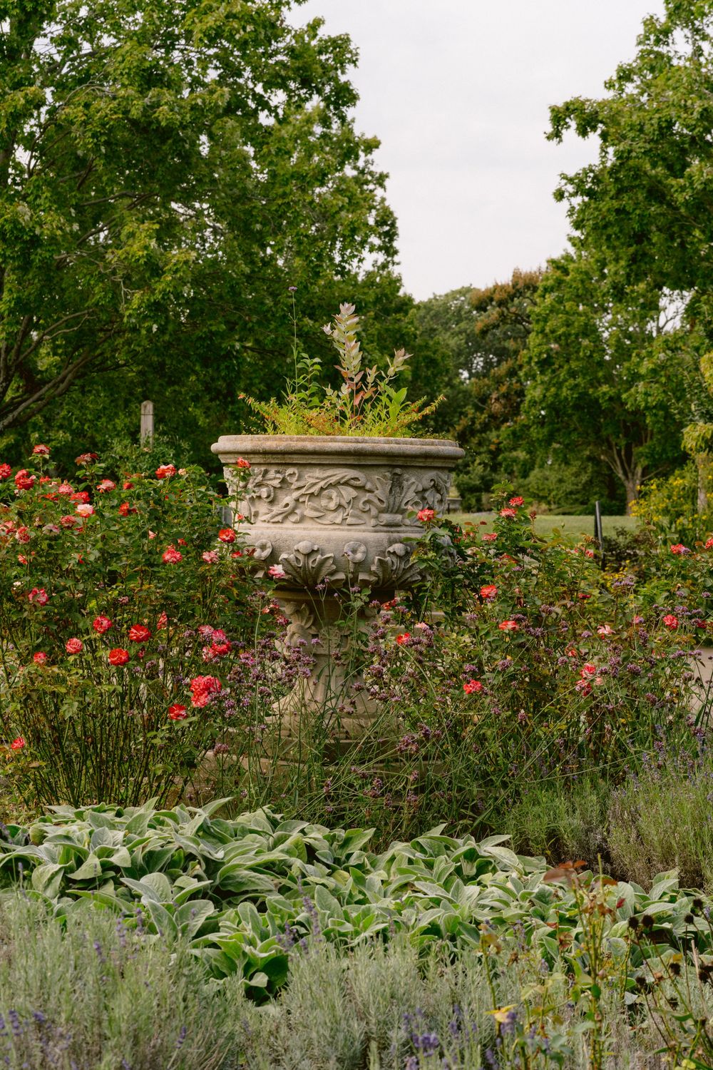 Ornate stone garden urn planter surrounded by blooming pink roses and lush greenery in a formal garden setting.