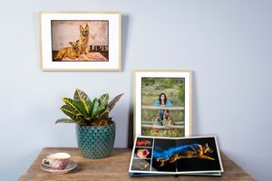Framed photographs and artwork displayed on wooden table with potted plant in turquoise planter and decorative teacup.