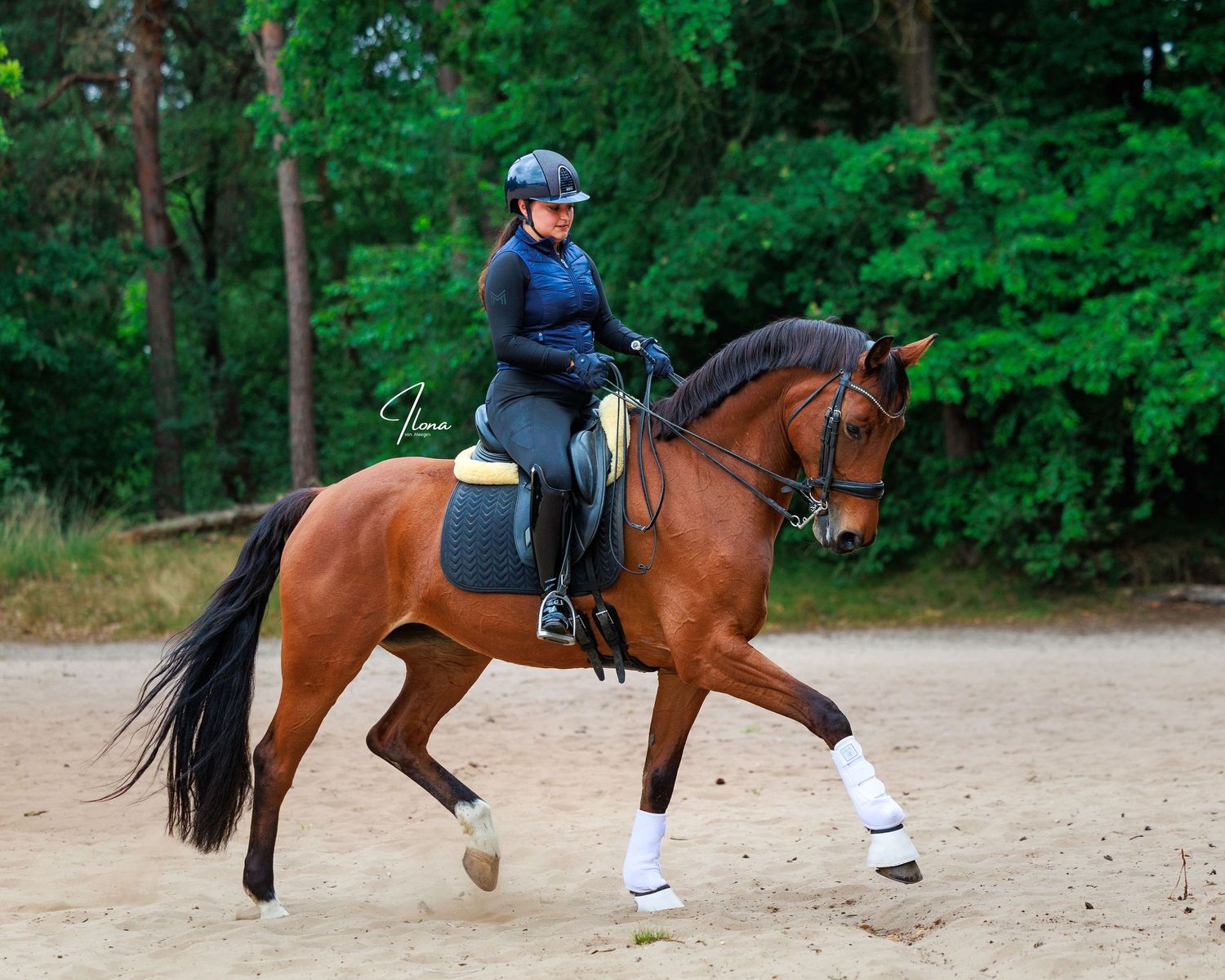 A rider on a bay horse performing dressage movements in an outdoor arena surrounded by green trees.