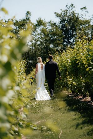 A couple in wedding attire walking through a lush garden path surrounded by greenery on a sunny day.