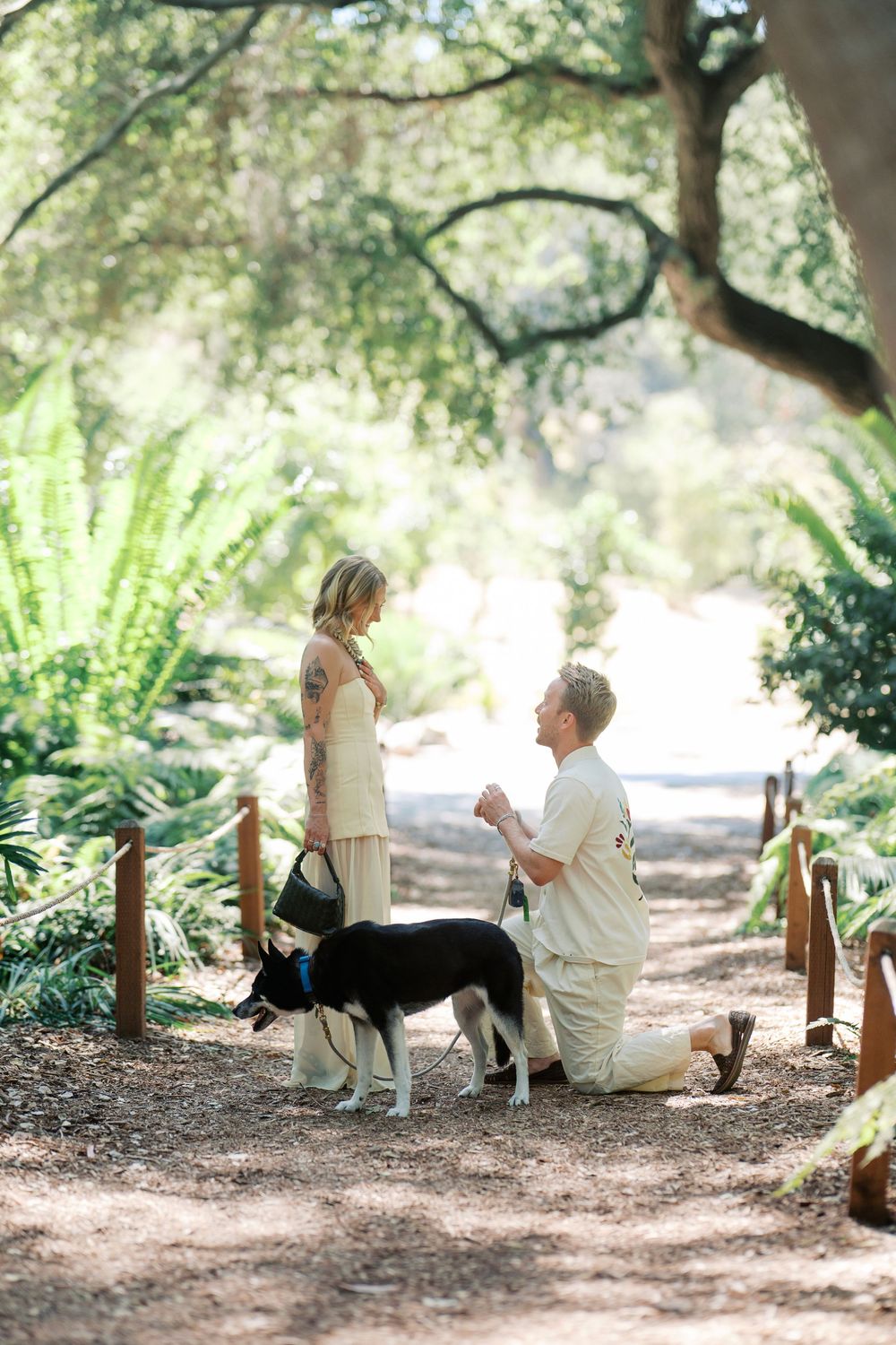 A romantic proposal moment on a forest path with a black and white dog standing nearby.