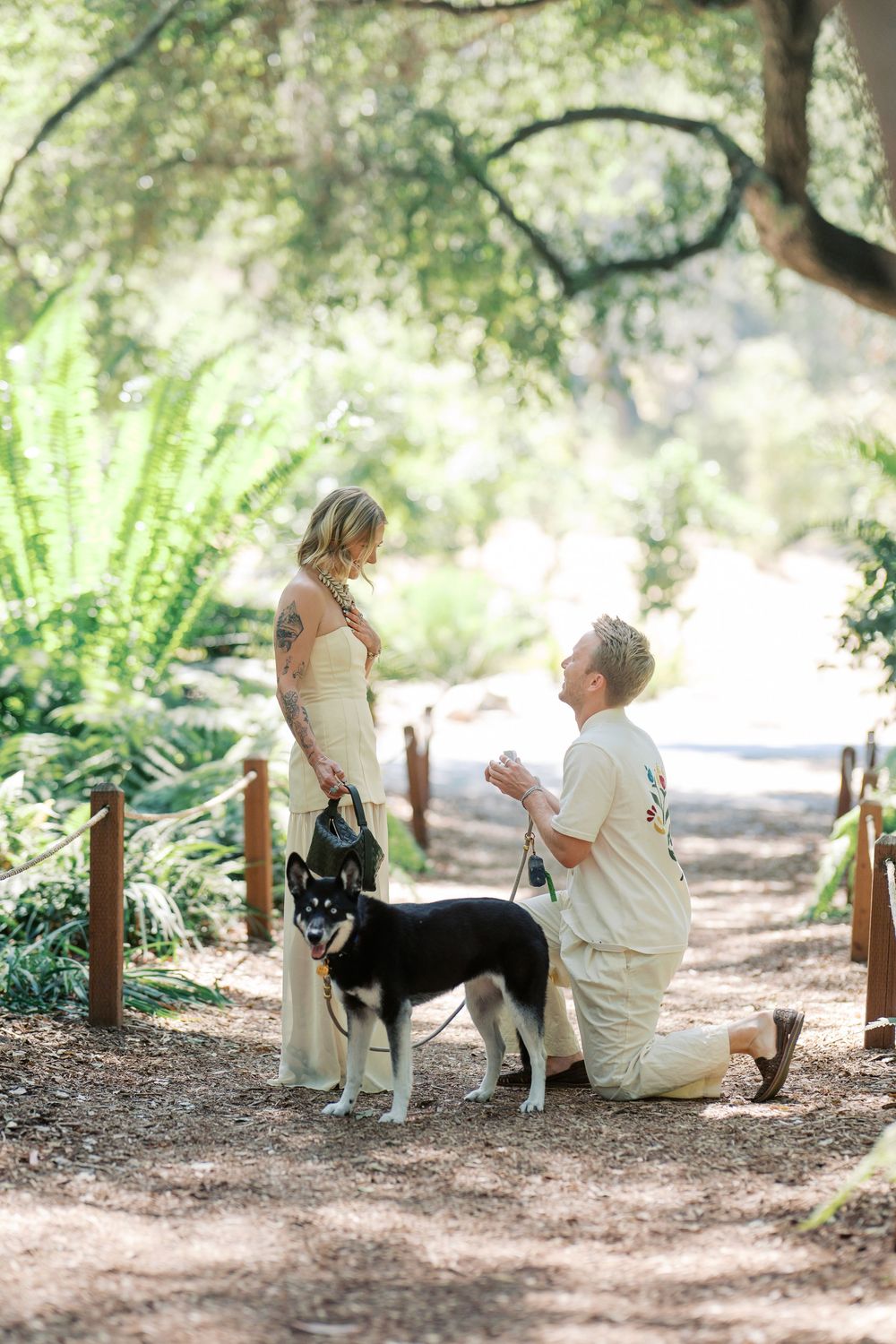 A romantic proposal moment on a wooded path with a black and white husky looking on during the special occasion.