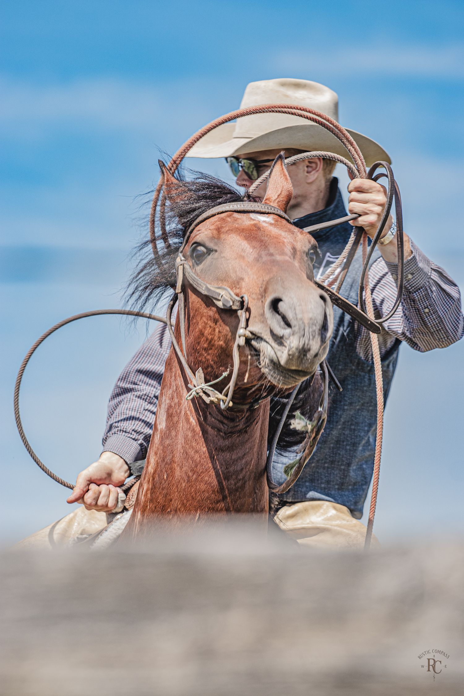 Close-up sequence of brown horse being worked with lasso rope against bright blue sky background.