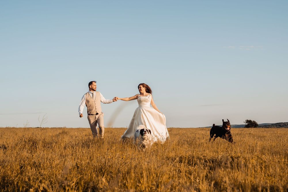 A couple in a golden wheat field at sunset holding hands and running through the tall grass.
