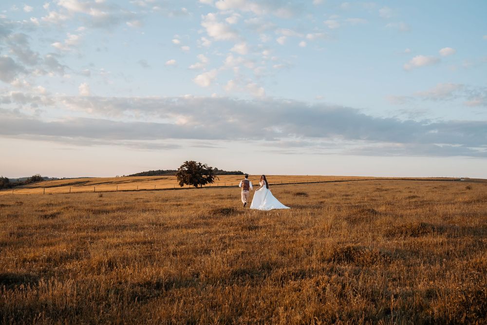 A couple in wedding attire stands in a golden grass field at sunset with a lone tree in the distance.