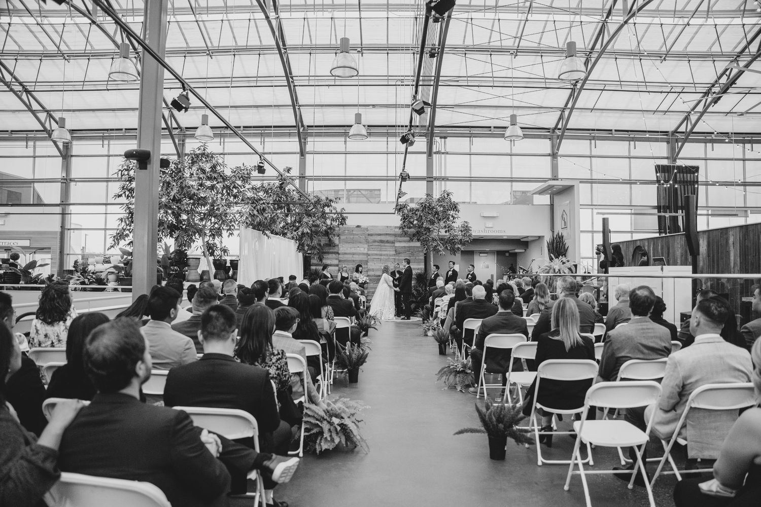 Black and white photo of wedding ceremony guests seated in rows of folding chairs inside a greenhouse or conservatory space.