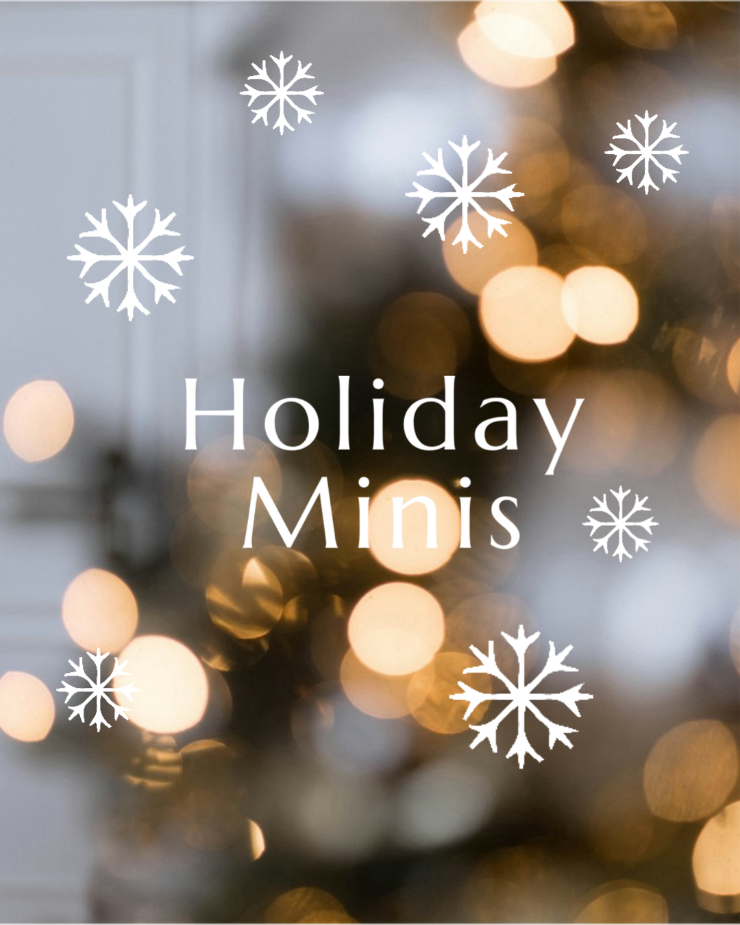 Holiday Mini photoshoot