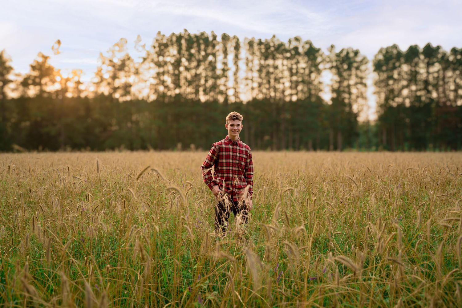 Person wearing plaid shirt standing in golden field at sunset with row of pine trees in background.