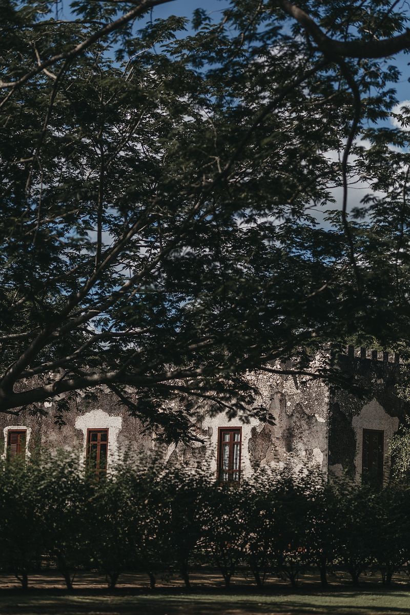 Historic stone hacienda partially hidden by lush green trees in dappled sunlight.
