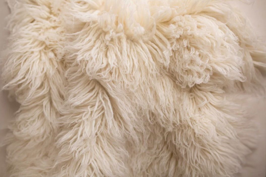 Fluffy off-white fur carpet or rug texture fills the frame creating a soft and cozy background pattern.