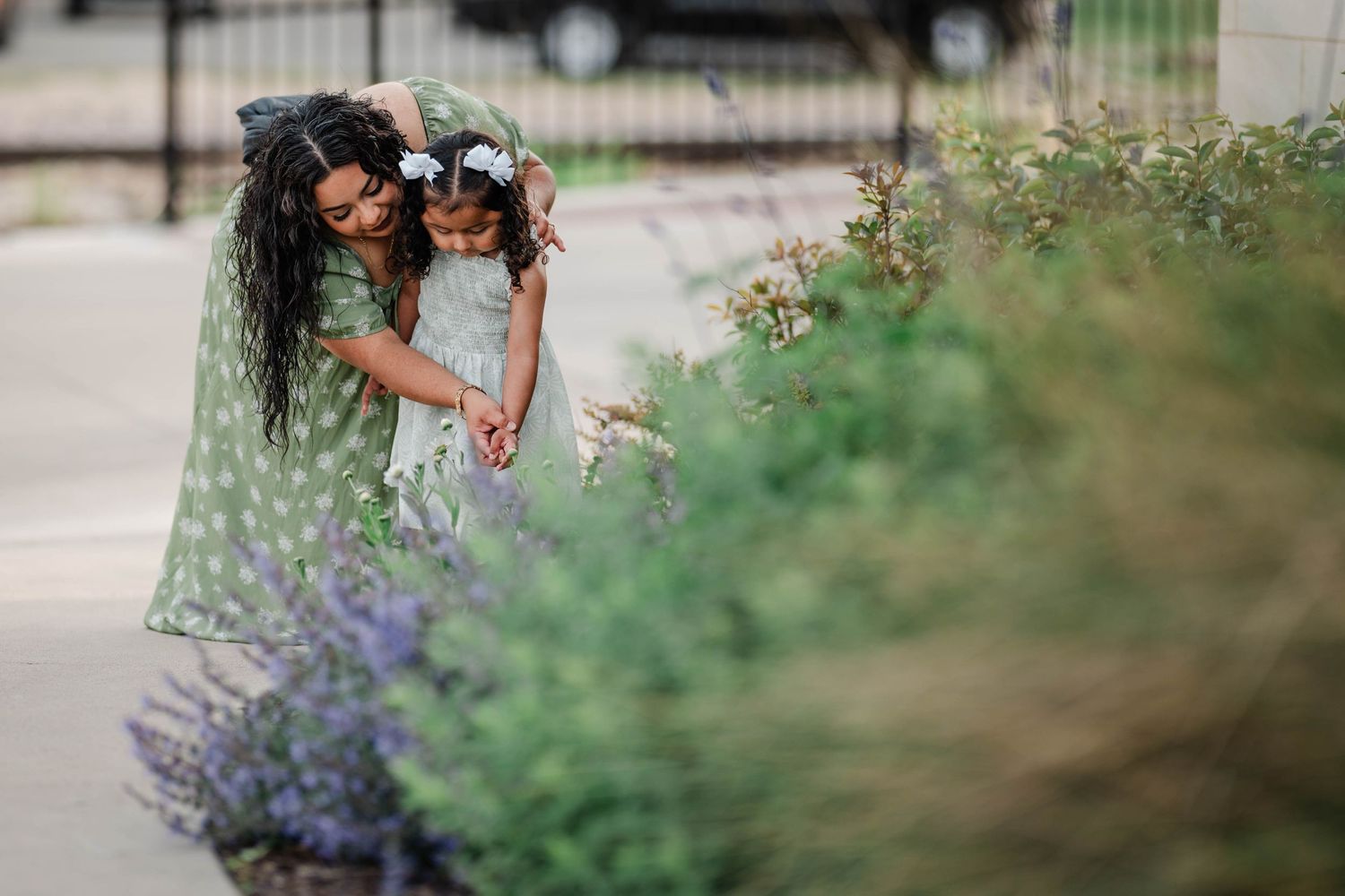 Two figures admiring purple flowers in blooming garden border.