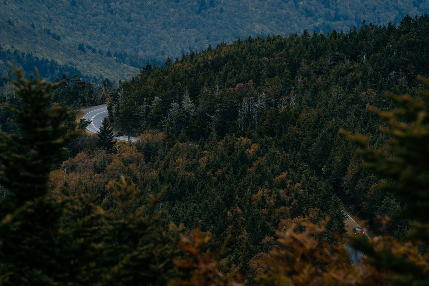 Winding mountain road curves through dense evergreen forest and autumn foliage in a scenic mountainous landscape.