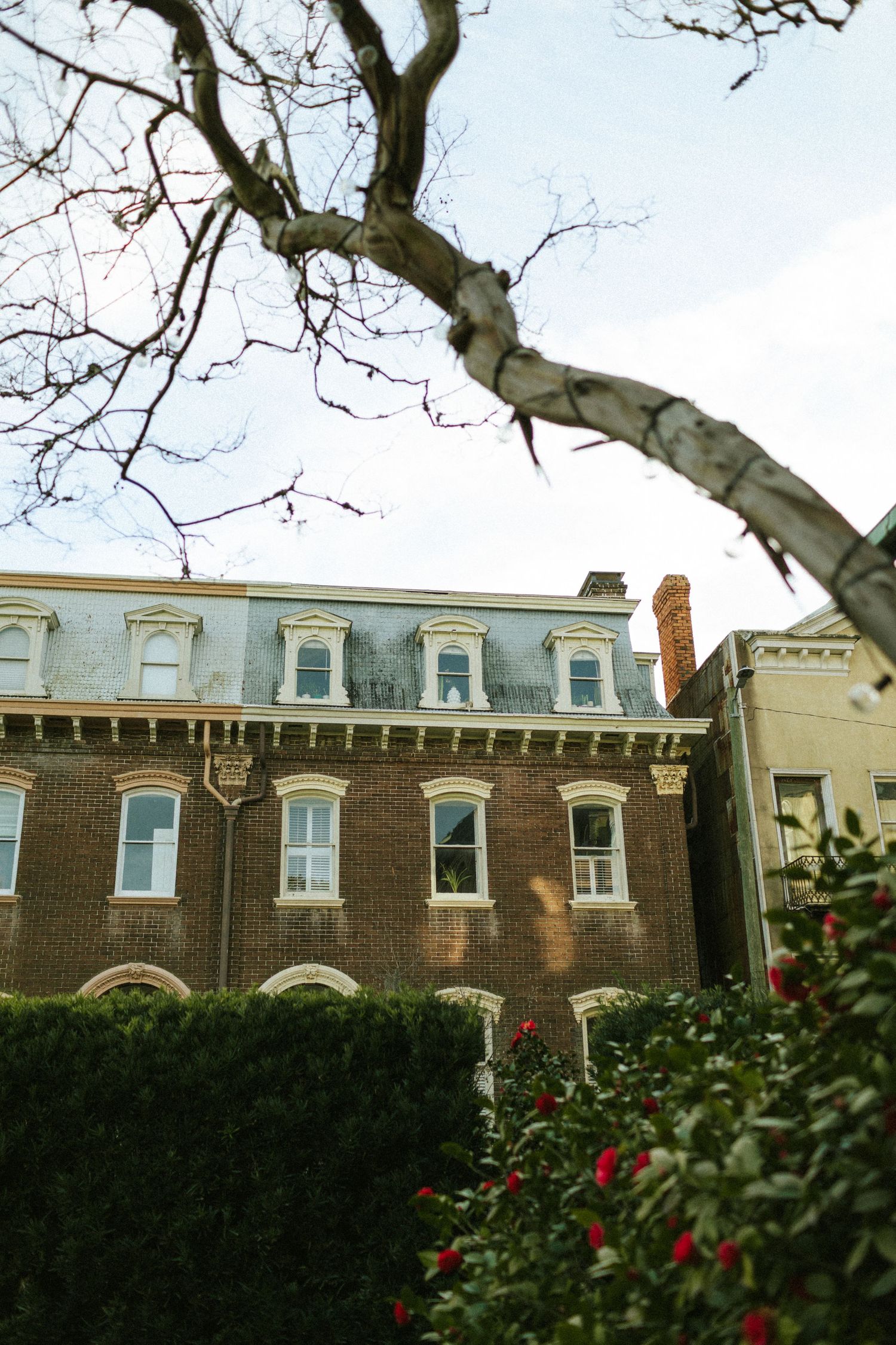 The tops of townhomes on E Perry St in downtown Savannah, GA