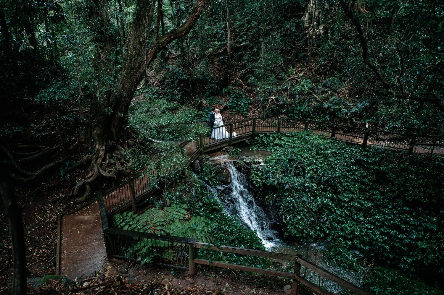 Scenic forest waterfall and pathway with wooden bridge leading through green landscape.