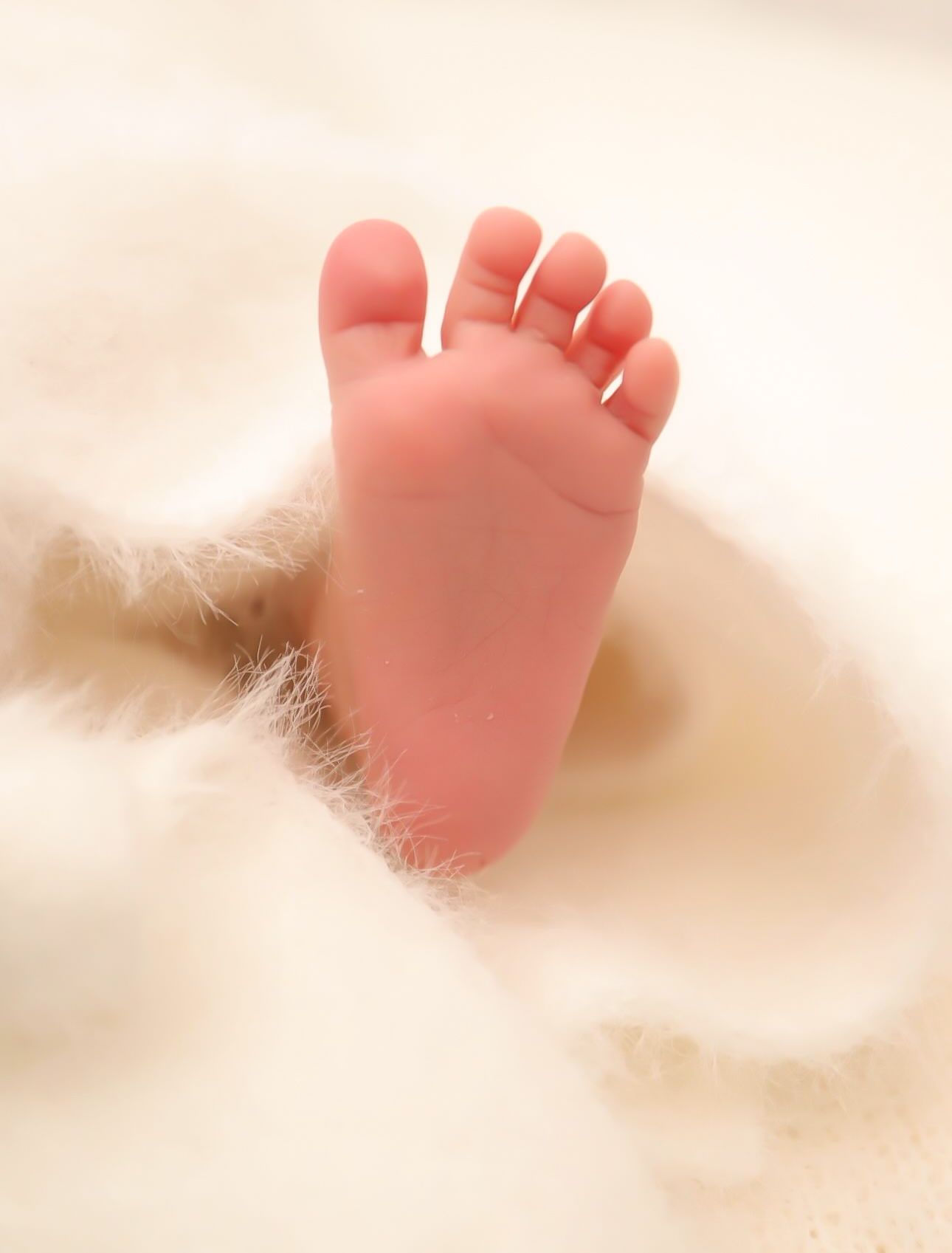 Baby toes