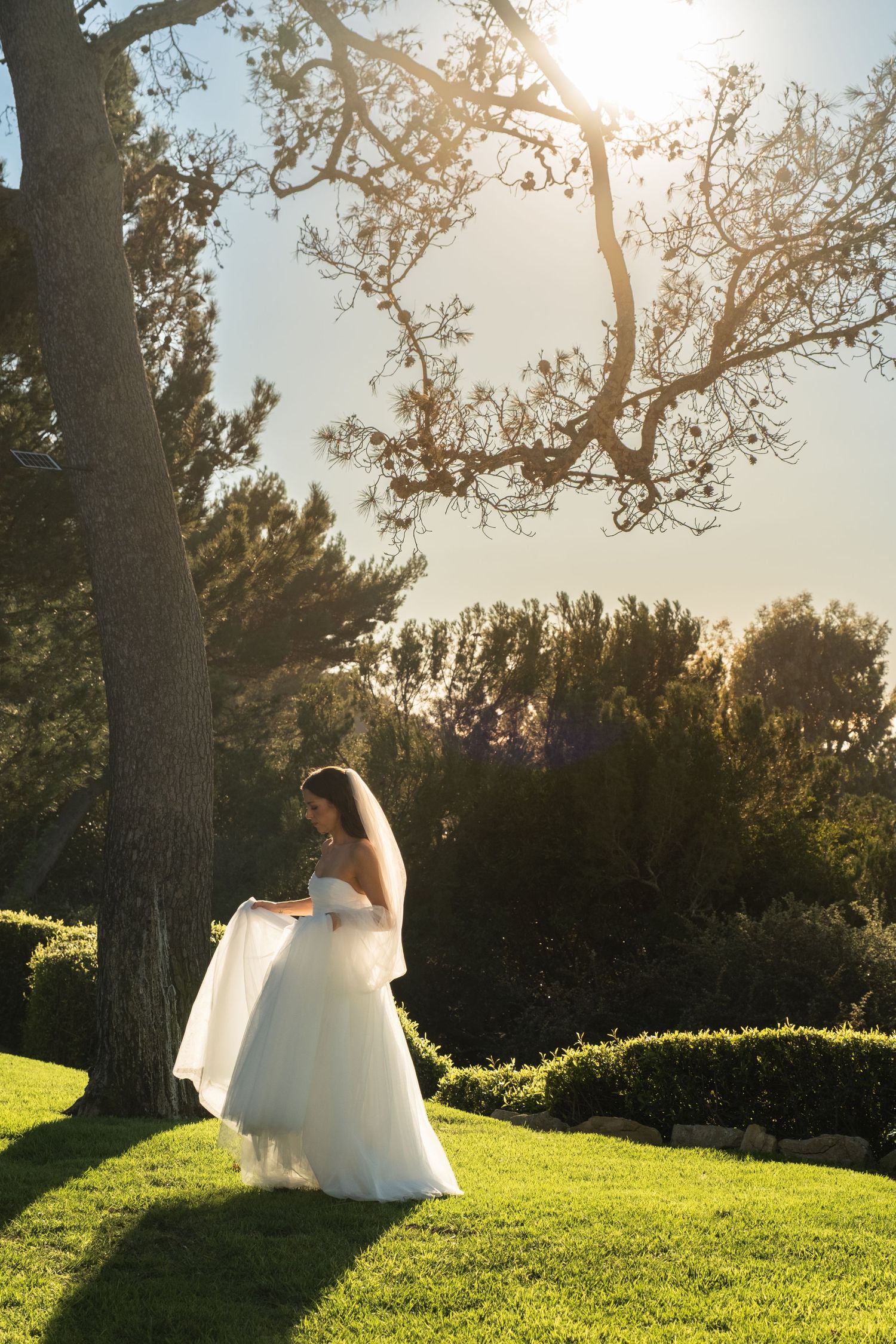 A flowing white wedding dress silhouetted against sunlit trees on a grassy hillside during golden hour.