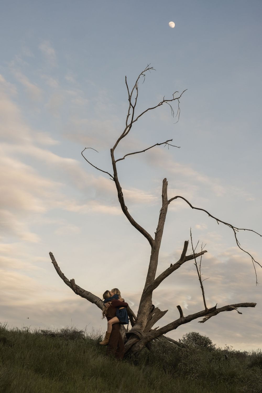 A silhouette against sunset sky with a dramatic dead tree in the foreground.